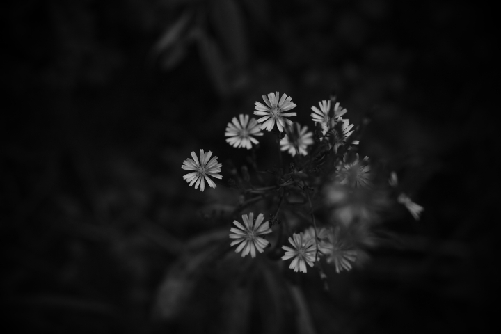 f:id:hisadoi:20121014132130j:image