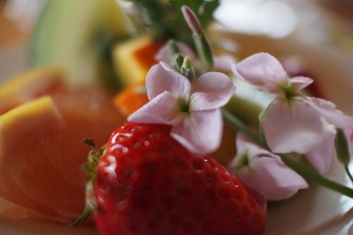 f:id:hisadoi:20130202113851j:image f:id:hisadoi:20130202113851j:image