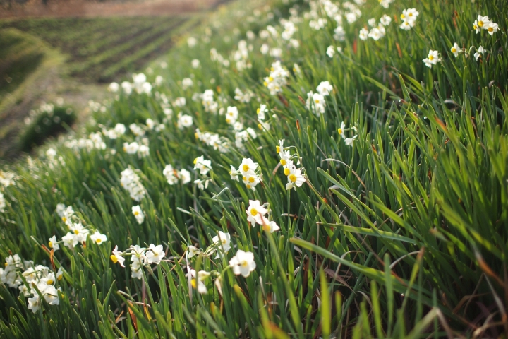 f:id:hisadoi:20130202154654j:image f:id:hisadoi:20130202154654j:image