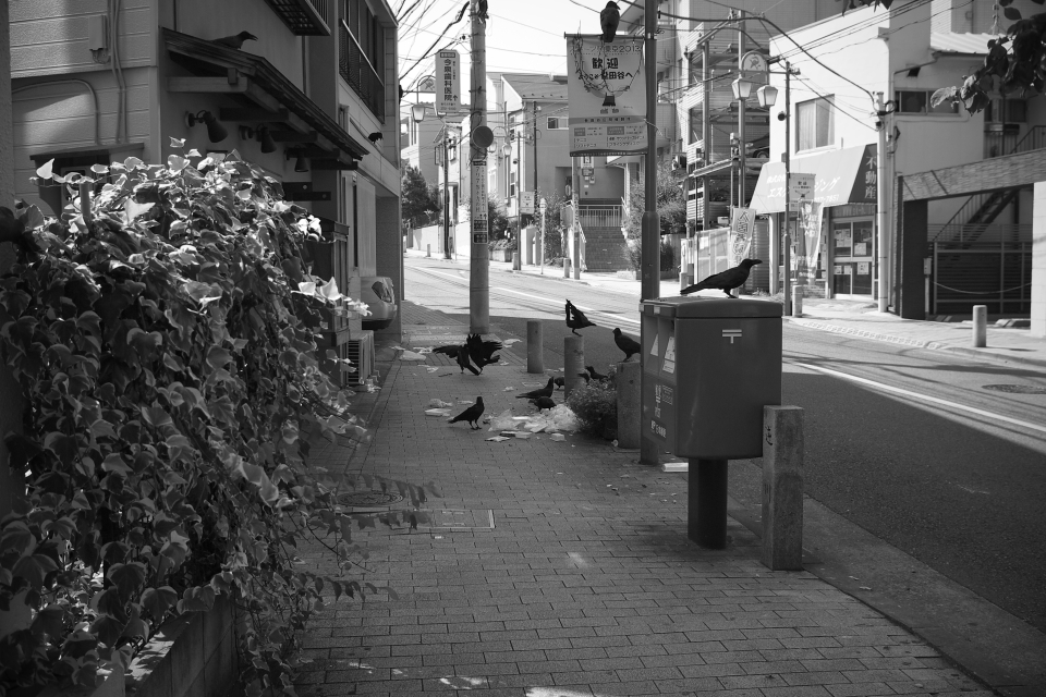 f:id:hisadoi:20130922094732j:image