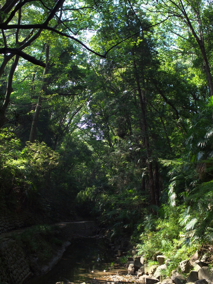 f:id:hisadoi:20130922095014j:image