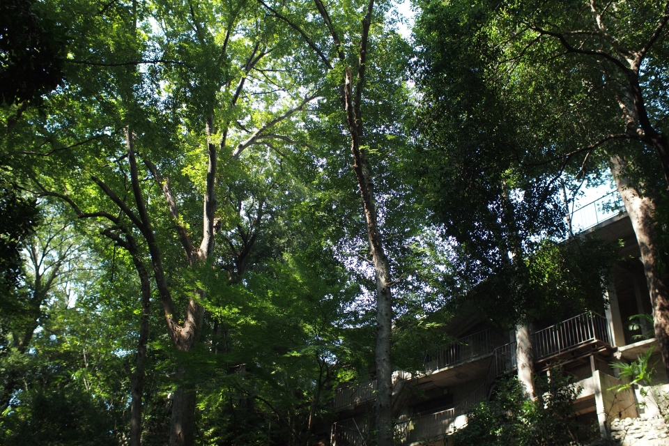 f:id:hisadoi:20130922095139j:image