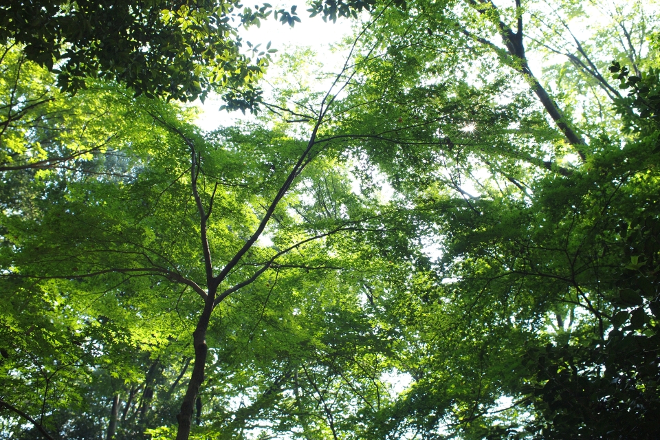 f:id:hisadoi:20130922100102j:image