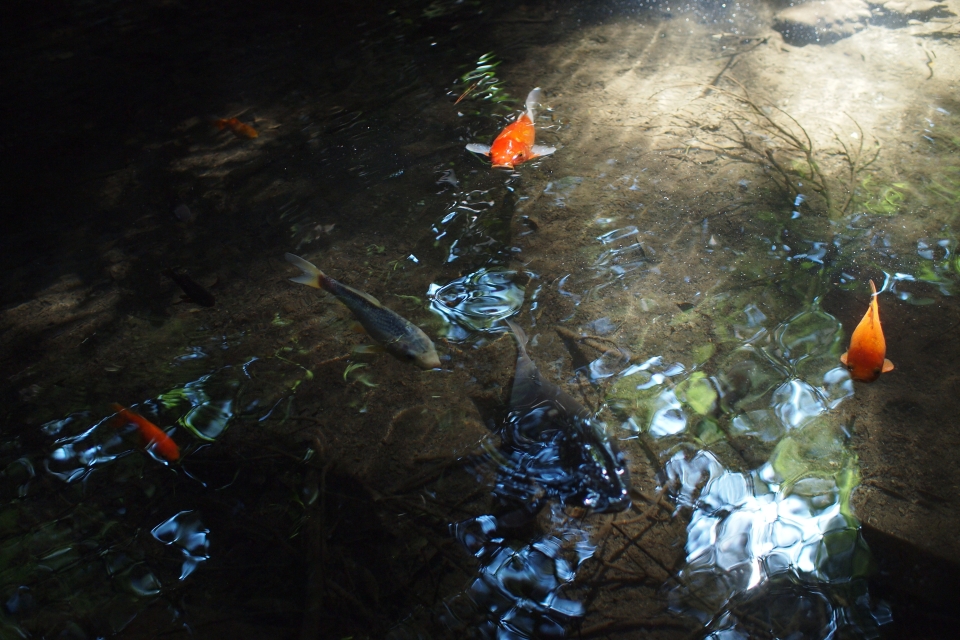 f:id:hisadoi:20130922101109j:image