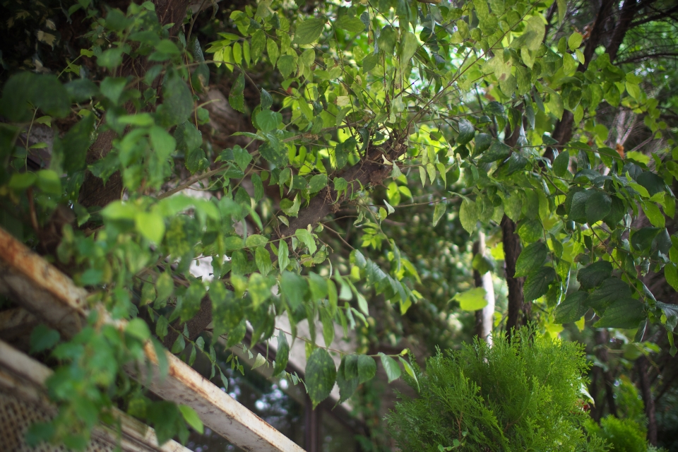 f:id:hisadoi:20130922134723j:image