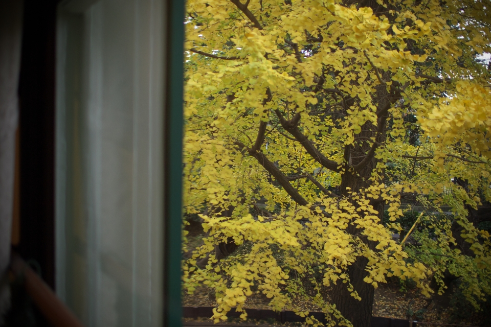 f:id:hisadoi:20131209141627j:image f:id:hisadoi:20131209141627j:image