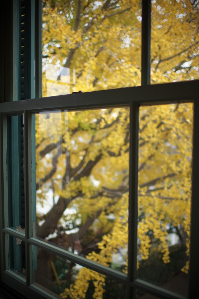 f:id:hisadoi:20131209144457j:image f:id:hisadoi:20131209144457j:image