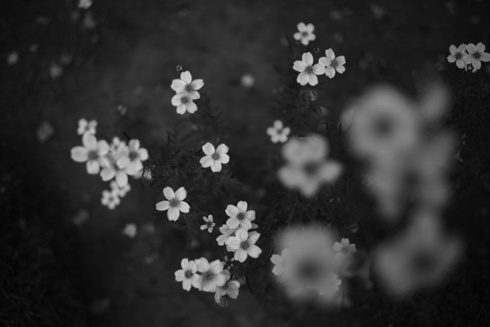 f:id:hisadoi:20131209151641j:image f:id:hisadoi:20131209151641j:image