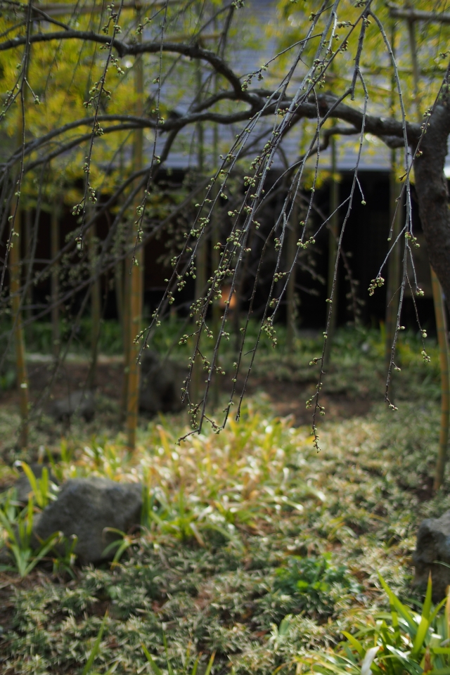 f:id:hisadoi:20140201142943j:image