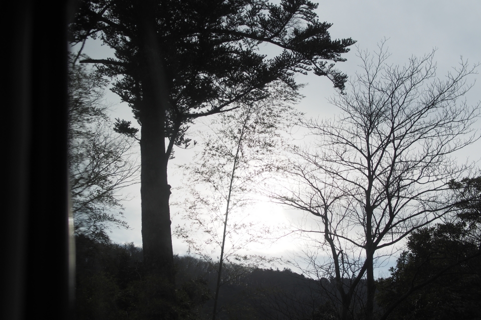 f:id:hisadoi:20140201143524j:image