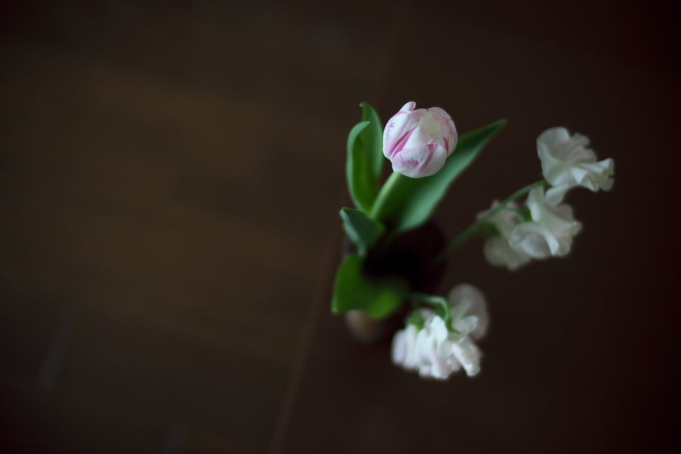 f:id:hisadoi:20140308101145j:image