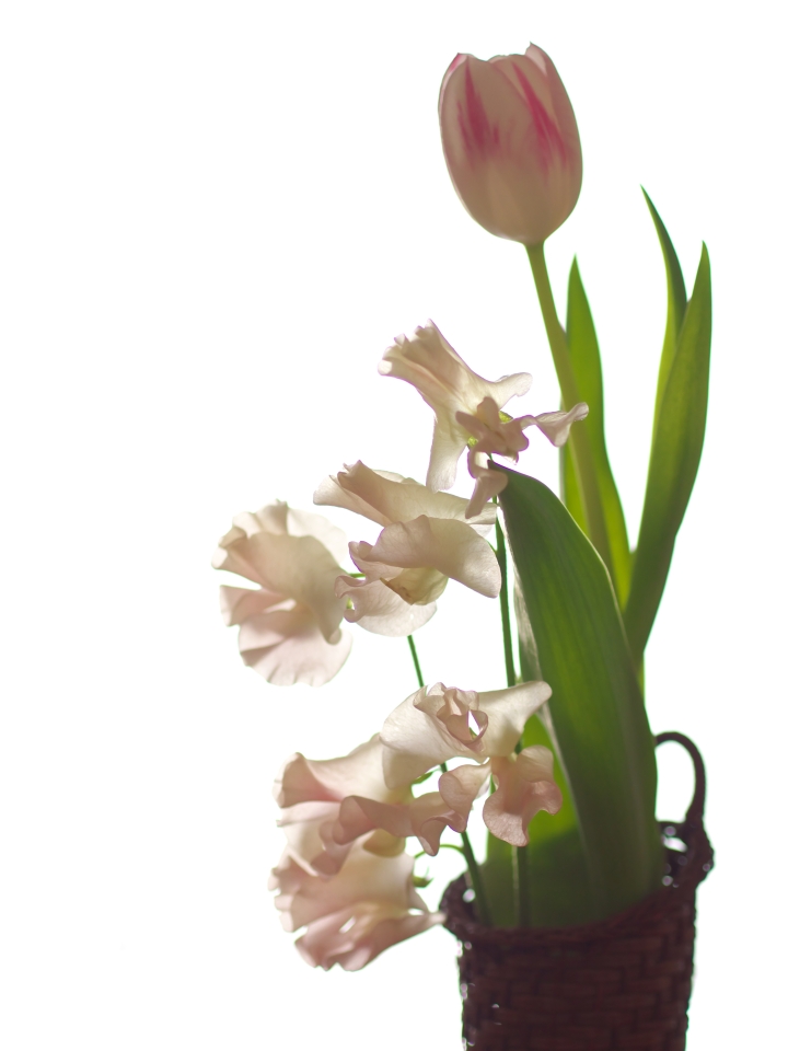 f:id:hisadoi:20140308101528j:image