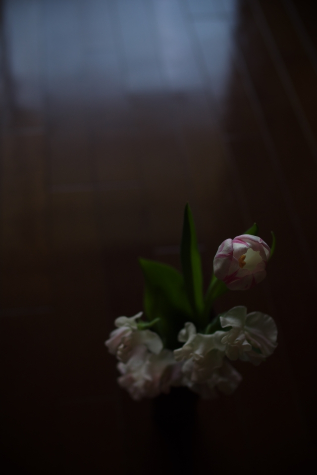 f:id:hisadoi:20140308103225j:image