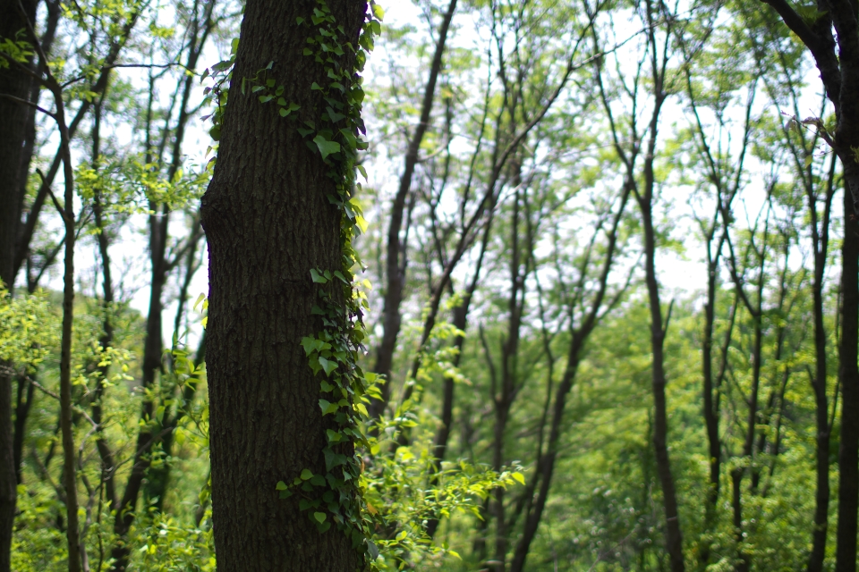 f:id:hisadoi:20140426131247j:image