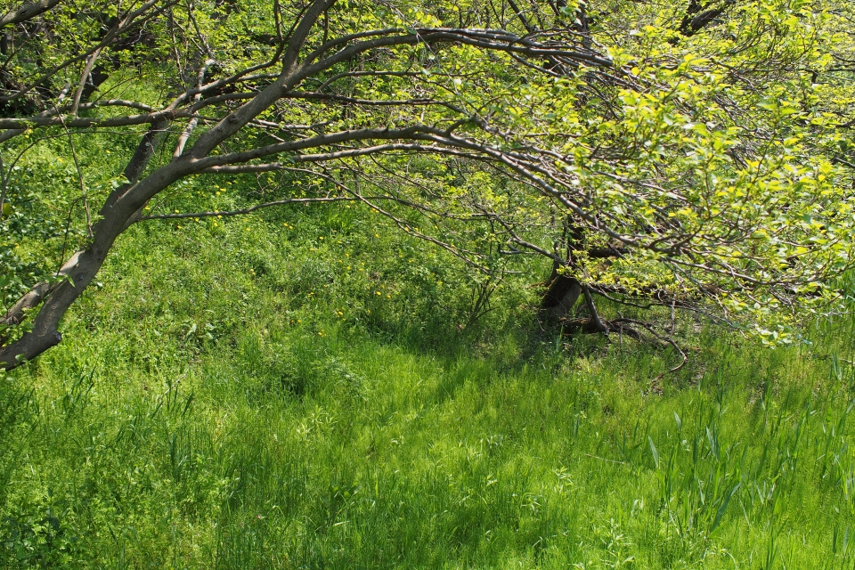 f:id:hisadoi:20140426131524j:image