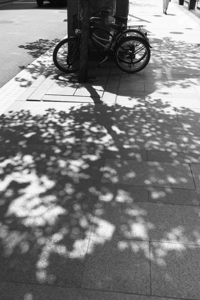 f:id:hisadoi:20140504091501j:image