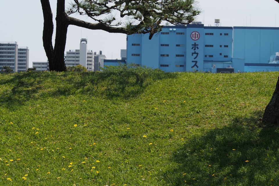 f:id:hisadoi:20140504114822j:image