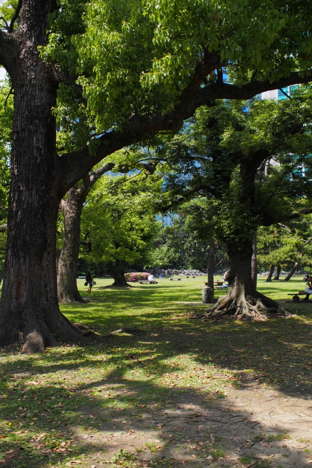 f:id:hisadoi:20140504123226j:image