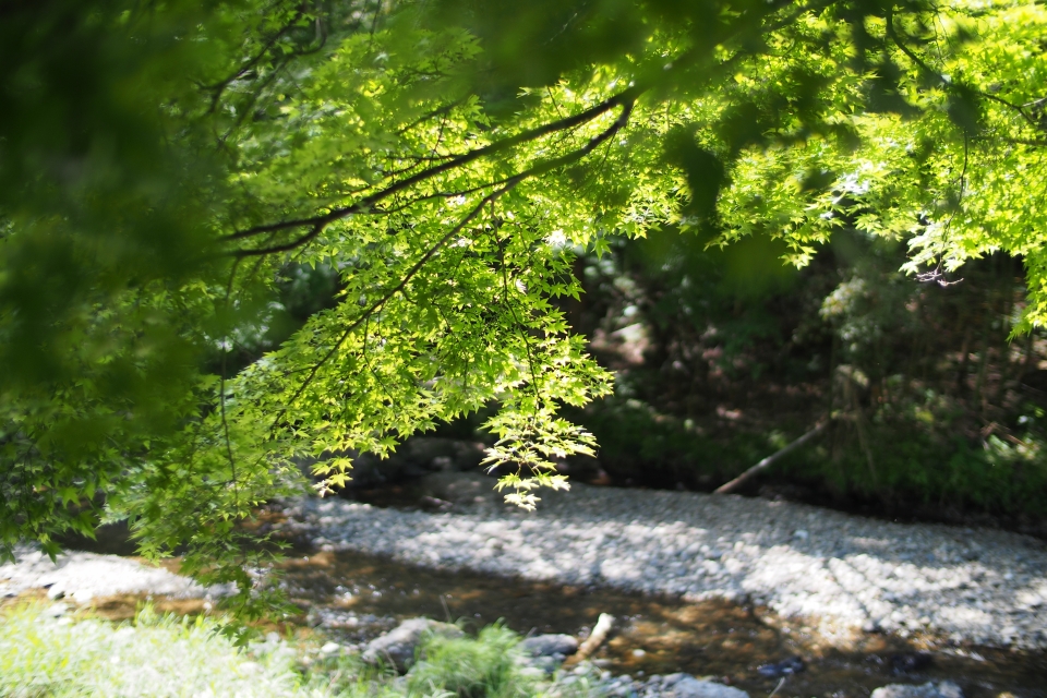 f:id:hisadoi:20140517094106j:image f:id:hisadoi:20140517094106j:image