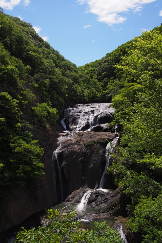 f:id:hisadoi:20140517100054j:image f:id:hisadoi:20140517100054j:image