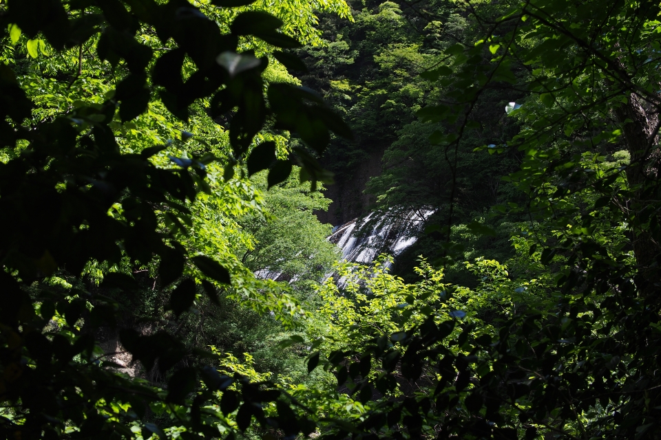 f:id:hisadoi:20140517101745j:image f:id:hisadoi:20140517101745j:image