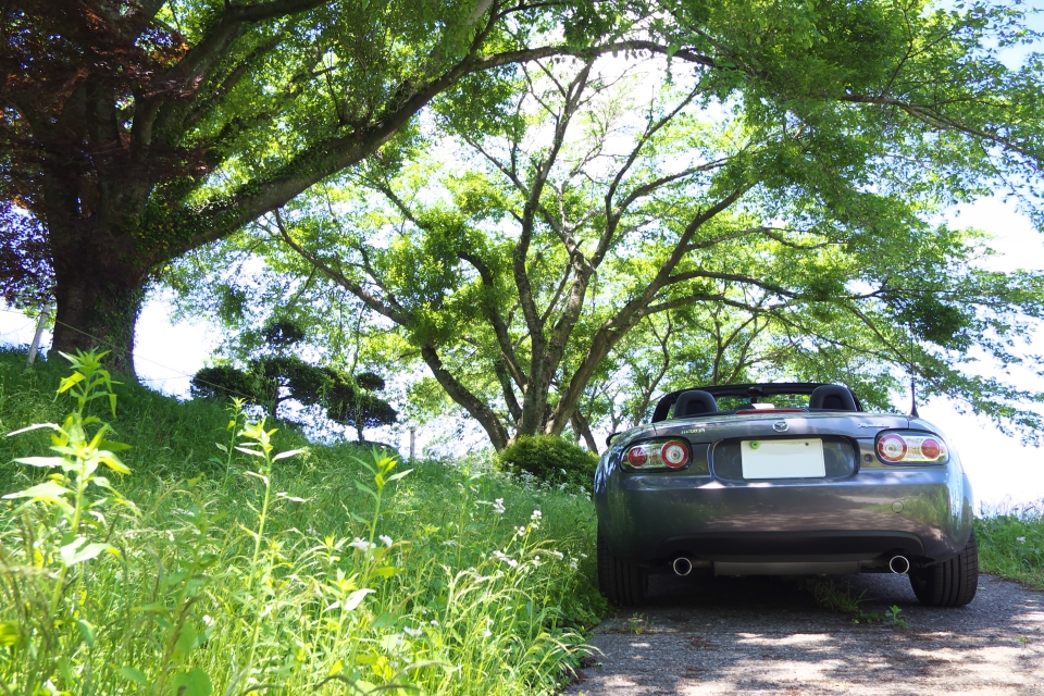 f:id:hisadoi:20140517114211j:image f:id:hisadoi:20140517114211j:image