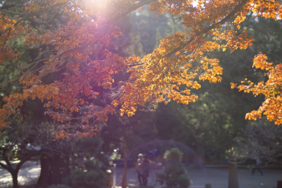 f:id:hisadoi:20141123092227j:image