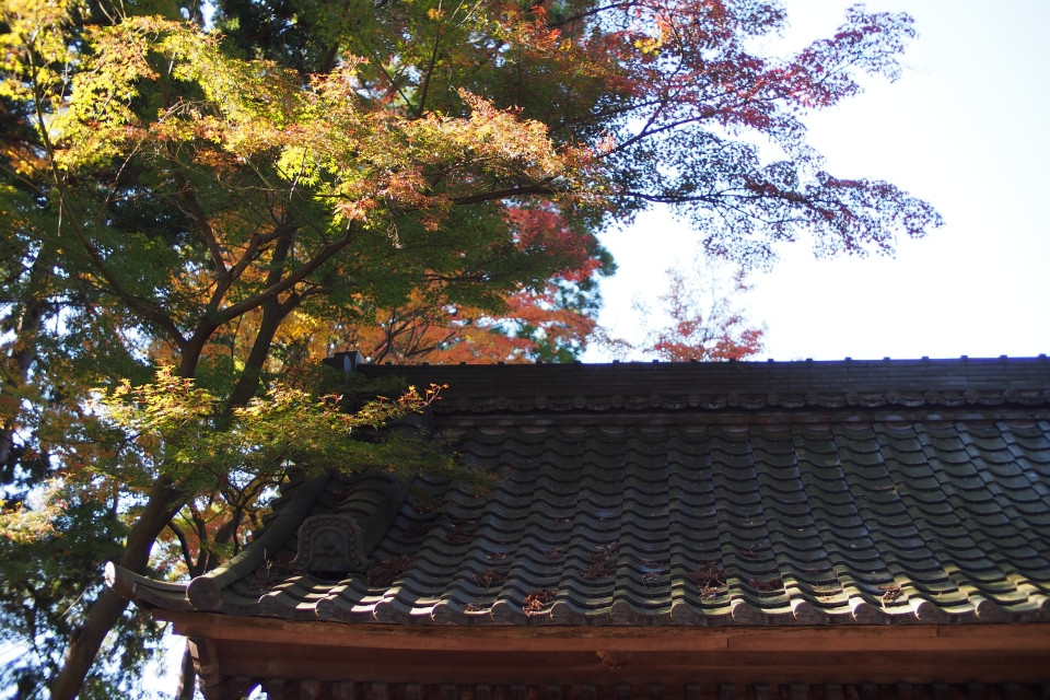 f:id:hisadoi:20141123095032j:image