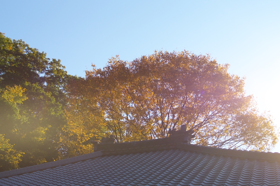 f:id:hisadoi:20141123100813j:image