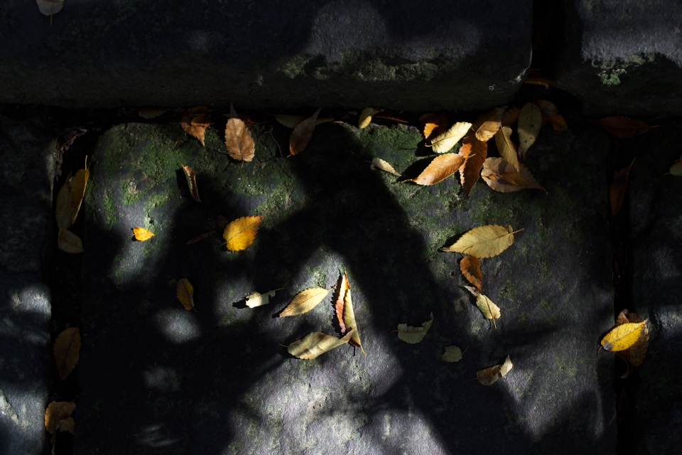 f:id:hisadoi:20141123112443j:image