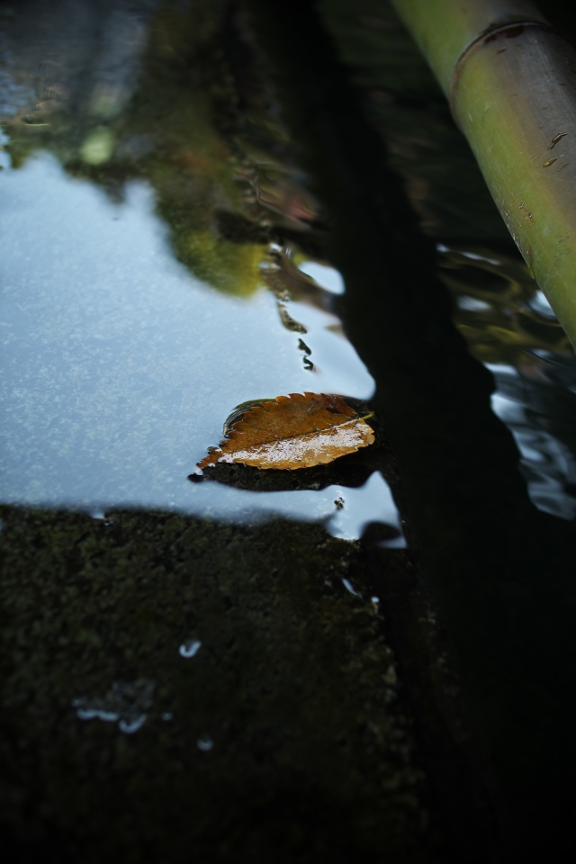 f:id:hisadoi:20141123112708j:image