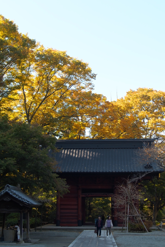 f:id:hisadoi:20141123112956j:image