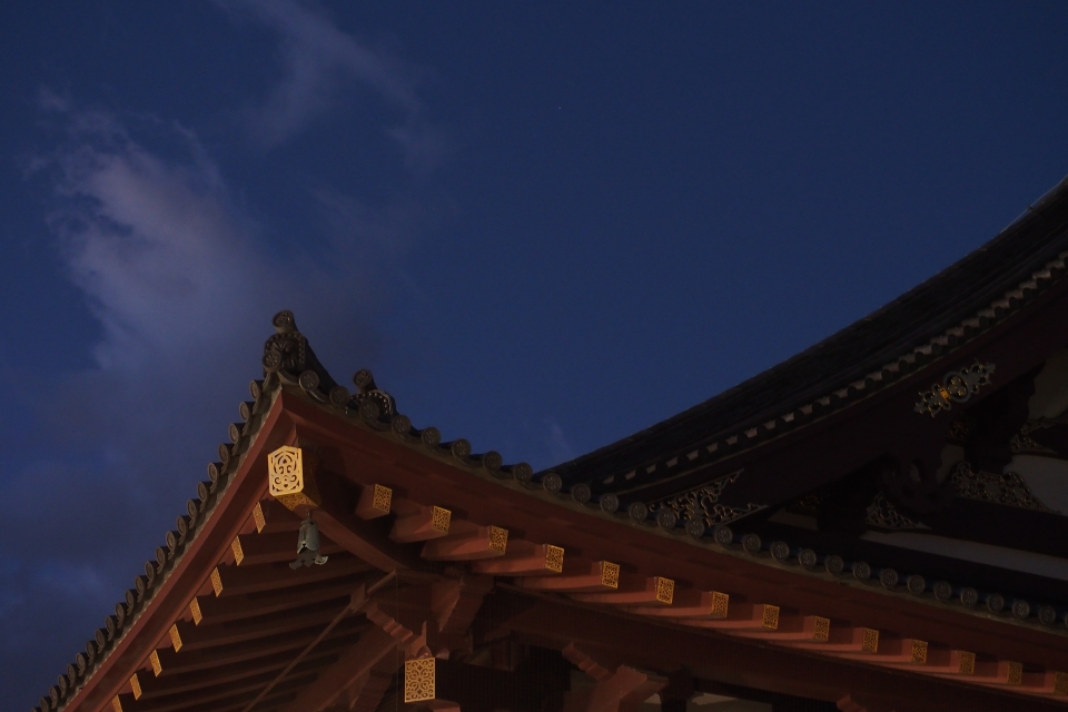 f:id:hisadoi:20150101061807j:image