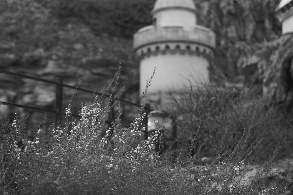 f:id:hisadoi:20150211162702j:image