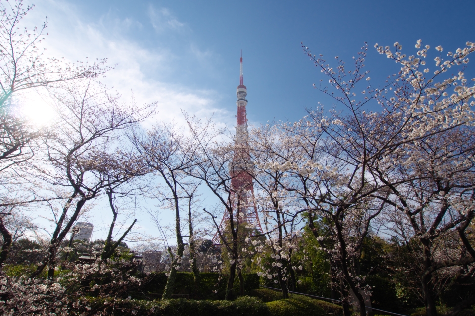 f:id:hisadoi:20150328152220j:image