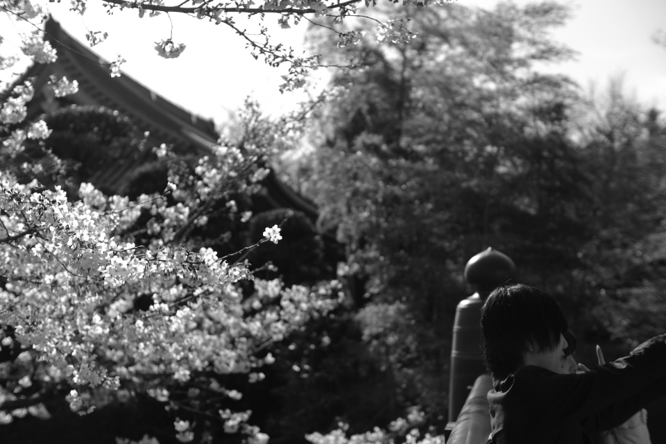 f:id:hisadoi:20150328152638j:image