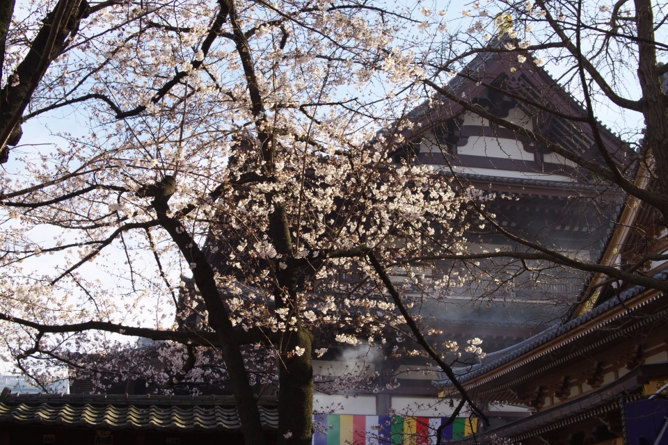 f:id:hisadoi:20150328154552j:image