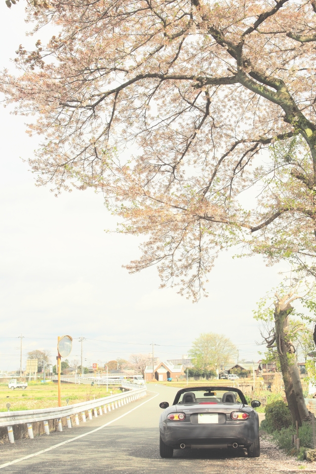 f:id:hisadoi:20150411150446j:image f:id:hisadoi:20150411150446j:image