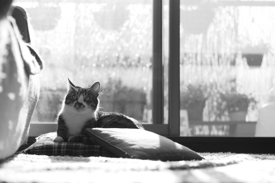 f:id:hisadoi:20150426162412j:image