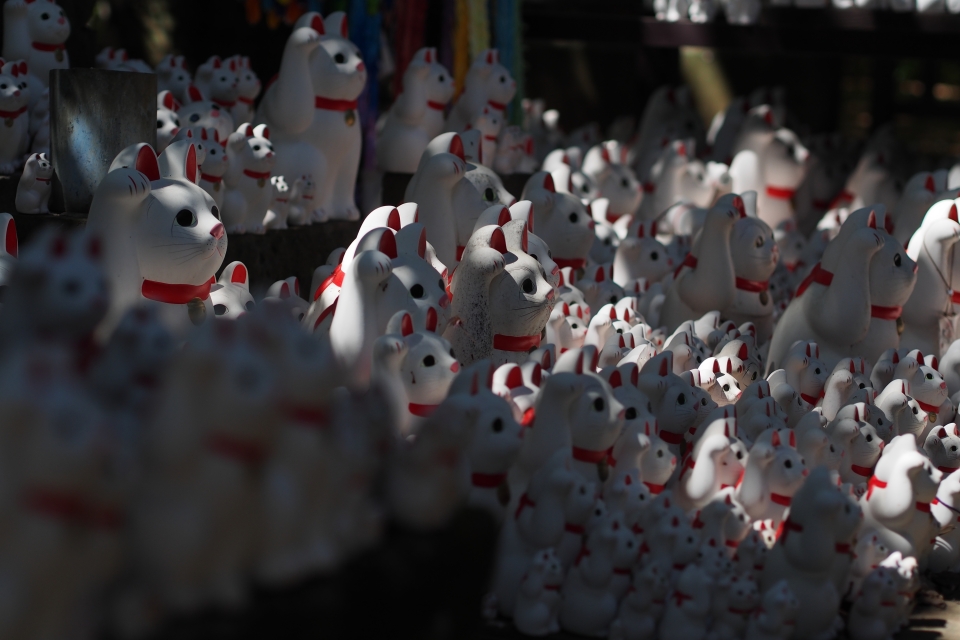 f:id:hisadoi:20150505133226j:image