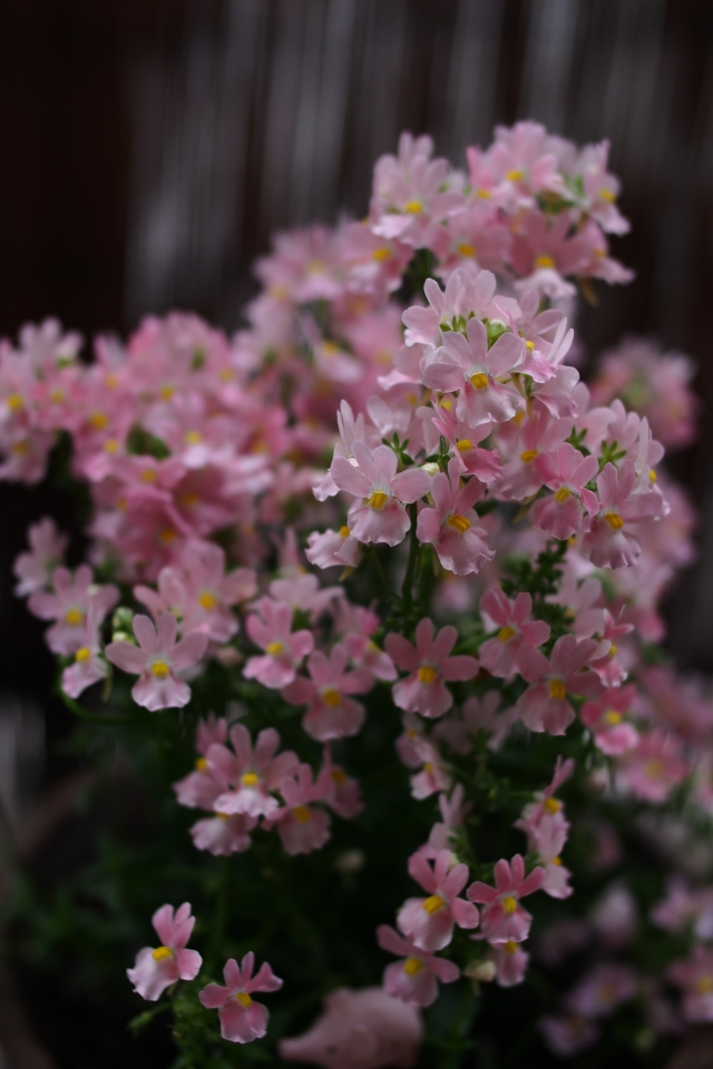 f:id:hisadoi:20150509152840j:image