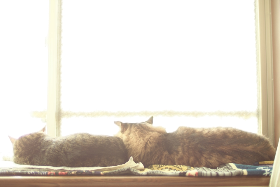 f:id:hisadoi:20150530142509j:image