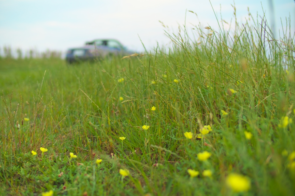 f:id:hisadoi:20150530181039j:image