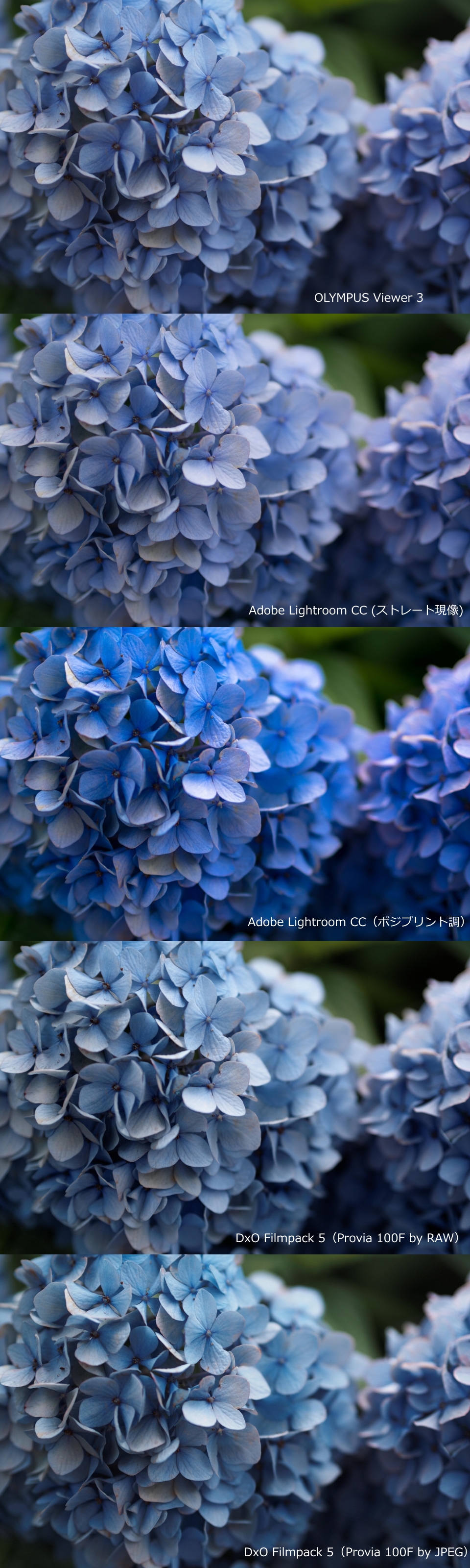 f:id:hisadoi:20150620124410j:image