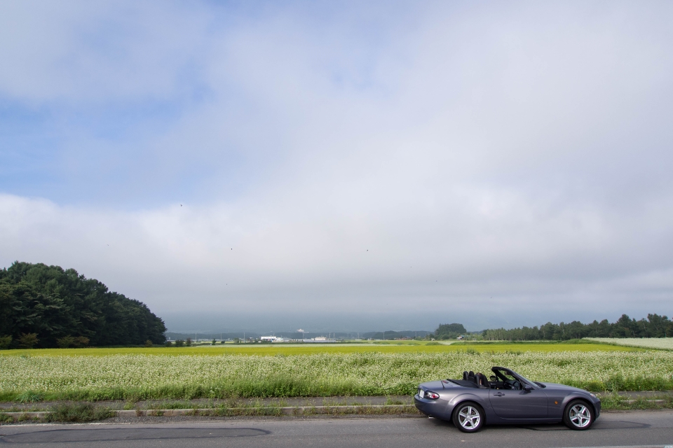 f:id:hisadoi:20150905074600j:image f:id:hisadoi:20150905074600j:image