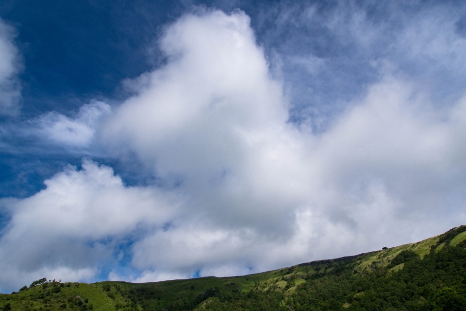 f:id:hisadoi:20150905084456j:image f:id:hisadoi:20150905084456j:image