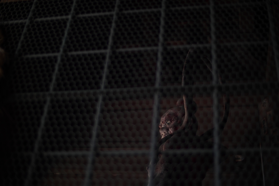 f:id:hisadoi:20150922084302j:image f:id:hisadoi:20150922084302j:image