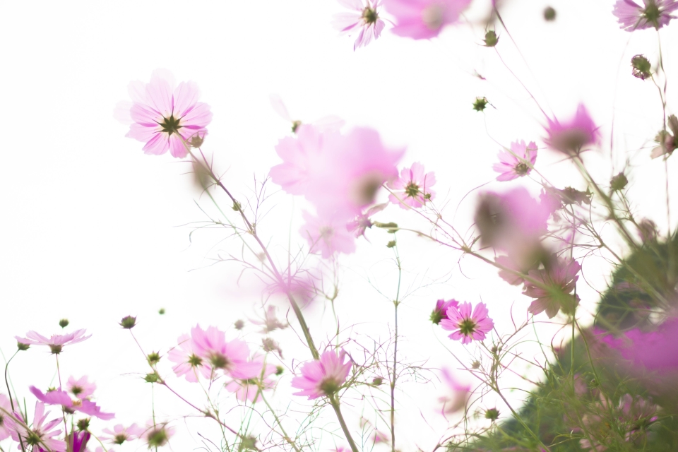 f:id:hisadoi:20151010072825j:image