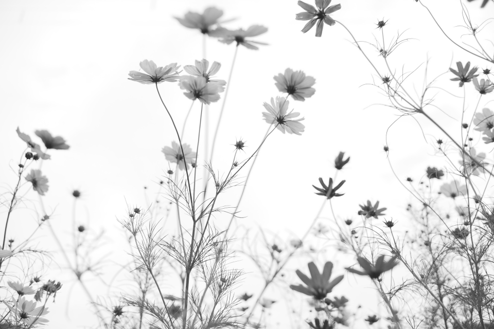 f:id:hisadoi:20151010073016j:image