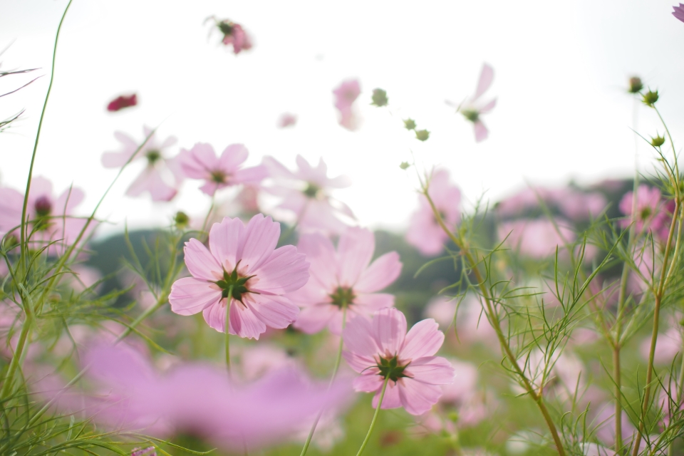 f:id:hisadoi:20151010075312j:image